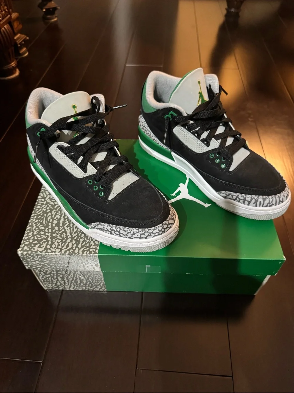 Air Jordan Black and Green Sneakers with Elephant Print